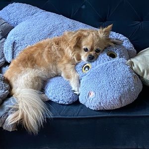 Meet your Posher, Anna